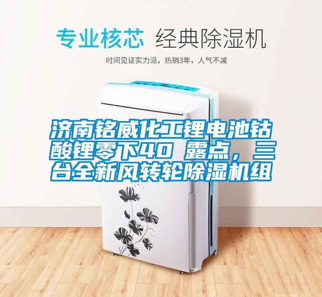 濟南銘威化工鋰電池鈷酸鋰零下40℃露點，三臺全新風(fēng)轉(zhuǎn)輪除濕機組