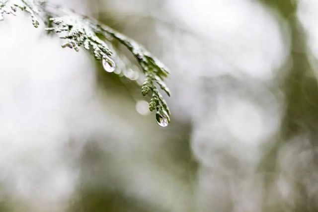 空氣濕度大帶來的危害有哪些，你知道嗎？