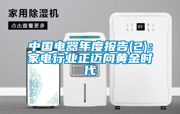 中國電器年度報(bào)告(2)：家電行業(yè)正邁向黃金時(shí)代