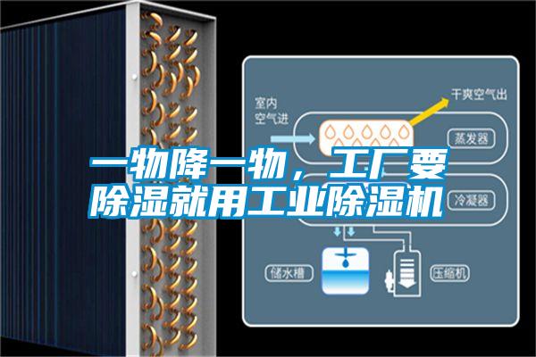 一物降一物,工廠要除濕就用工業(yè)除濕機