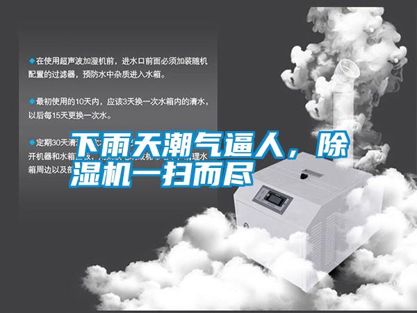 下雨天潮氣逼人，除濕機一掃而盡