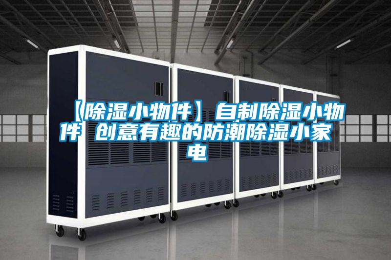 【除濕小物件】自制除濕小物件 創(chuàng)意有趣的防潮除濕小家電