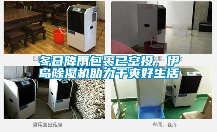 冬日降雨包裹已空投，伊島除濕機助力干爽好生活