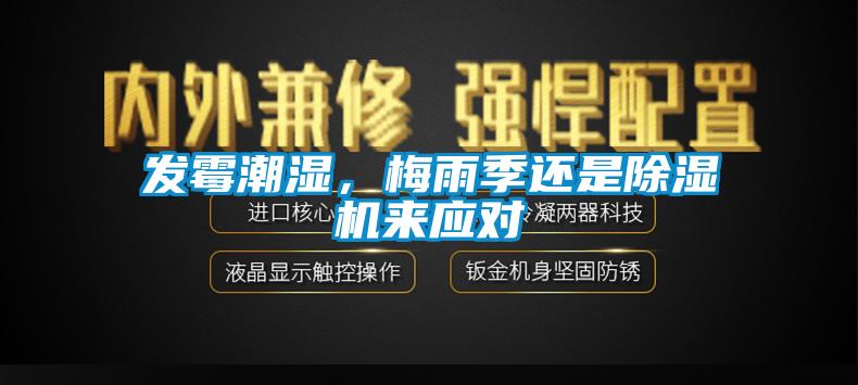 發(fā)霉潮濕,梅雨季還是除濕機(jī)來應(yīng)對(duì)