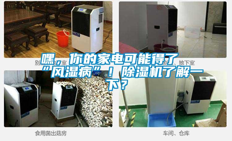 嘿,你的家電可能得了“風(fēng)濕病”!除濕機(jī)了解一下?