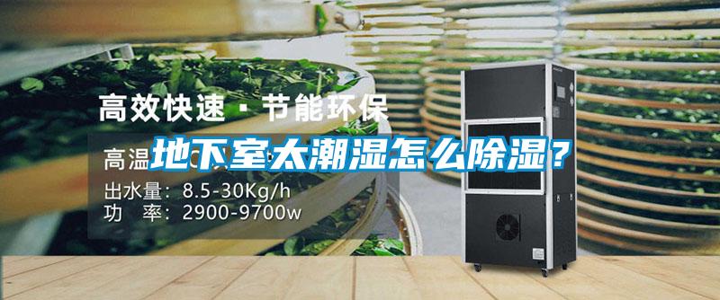 地下室太潮濕怎么除濕？