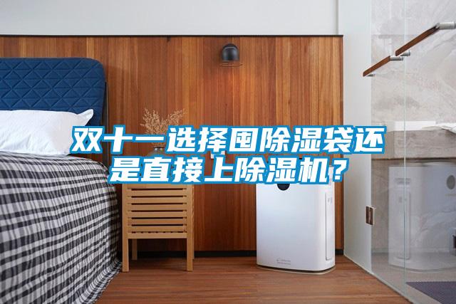 雙十一選擇囤除濕袋還是直接上除濕機(jī)?