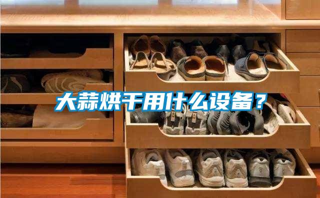 大蒜烘干用什么設備？