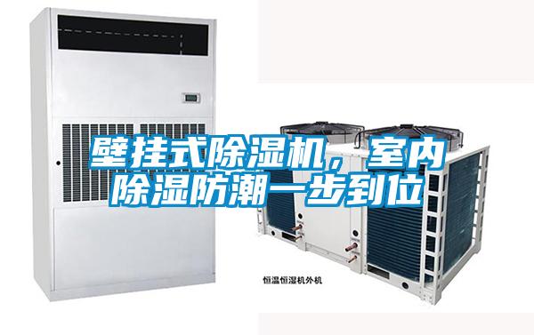 壁掛式除濕機，室內(nèi)除濕防潮一步到位