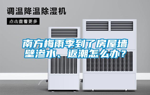 南方梅雨季到了房屋墻壁滲水、返潮怎么辦？