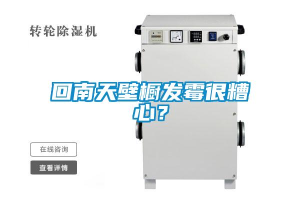 回南天壁櫥發霉很糟心?