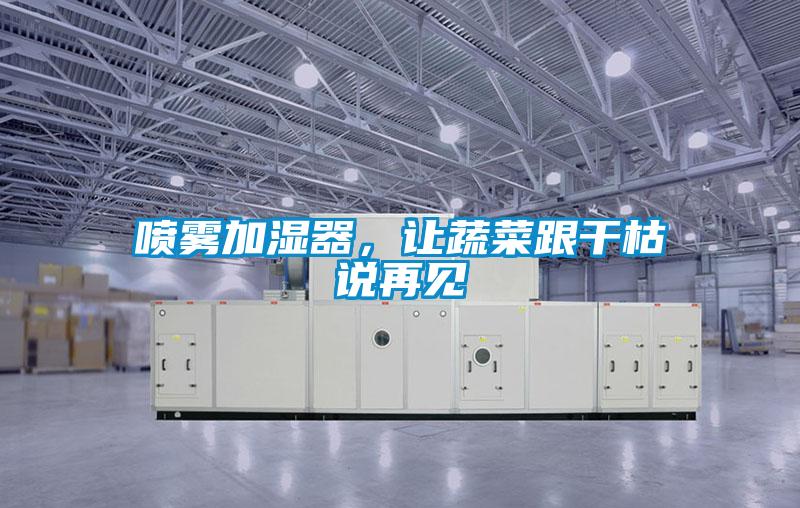 噴霧加濕器,讓蔬菜跟干枯說(shuō)再見(jiàn)