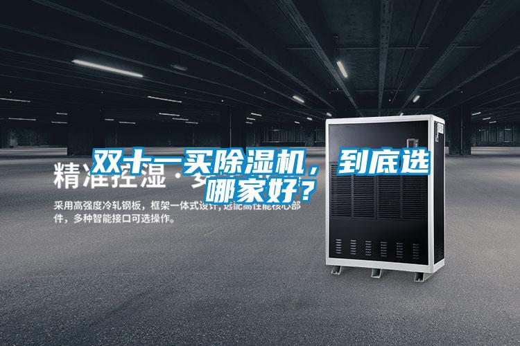 雙十一買除濕機(jī)，到底選哪家好？