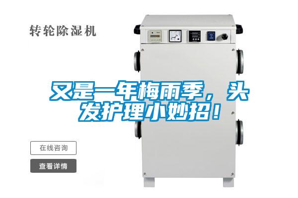 又是一年梅雨季，頭發(fā)護(hù)理小妙招！