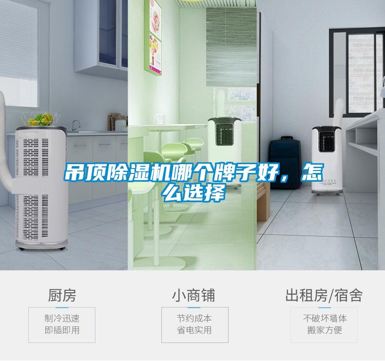 吊頂除濕機哪個牌子好,怎么選擇