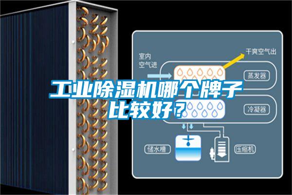 工業除濕機哪個牌子比較好?