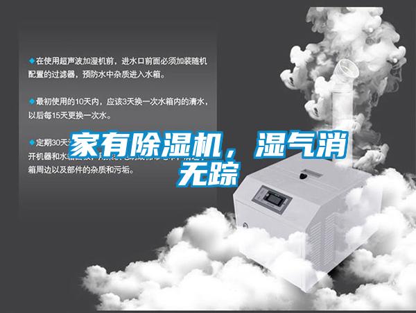 家有除濕機(jī),濕氣消無蹤