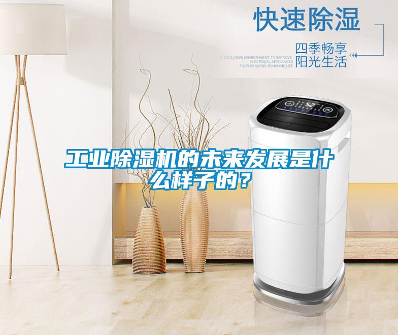工業(yè)除濕機(jī)的未來(lái)發(fā)展是什么樣子的？
