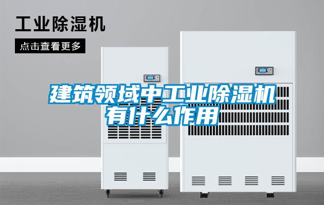 建筑領域中工業除濕機有什么作用