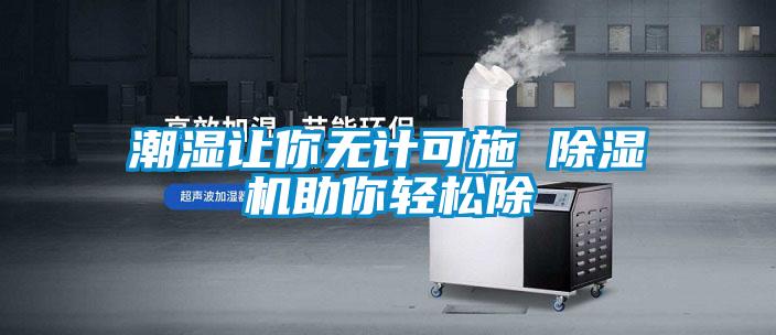 潮濕讓你無計可施 除濕機(jī)助你輕松除