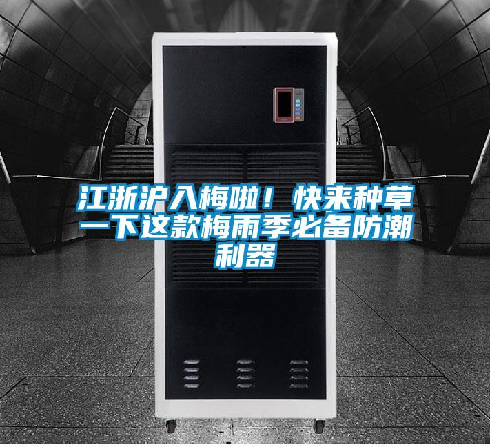 江浙滬入梅啦！快來種草一下這款梅雨季必備防潮利器