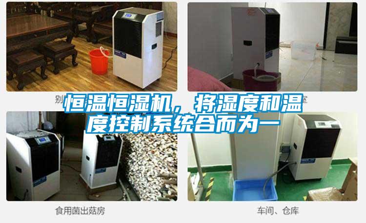 恒溫恒濕機,將濕度和溫度控制系統(tǒng)合而為一