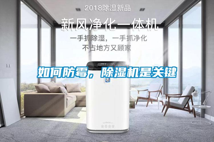 如何防霉，除濕機是關鍵