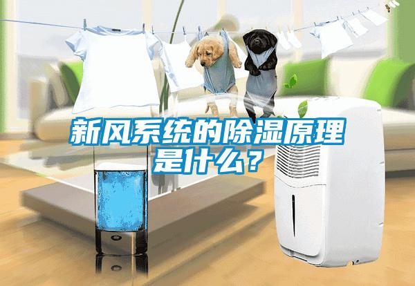 新風系統的除濕原理是什么？