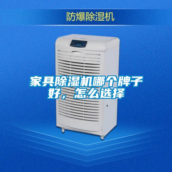 家具除濕機哪個牌子好，怎么選擇