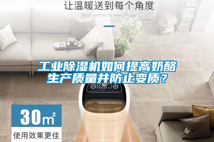 工業(yè)除濕機如何提高奶酪生產(chǎn)質量并防止變質?
