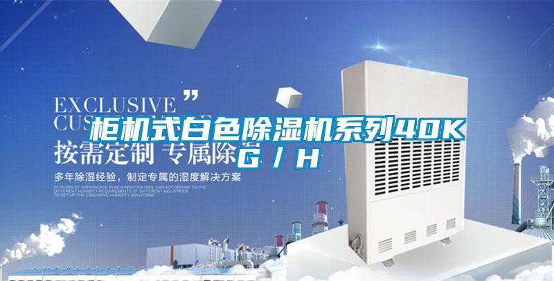 柜機(jī)式白色除濕機(jī)系列40KG/H