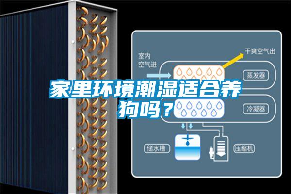 家里環境潮濕適合養狗嗎？