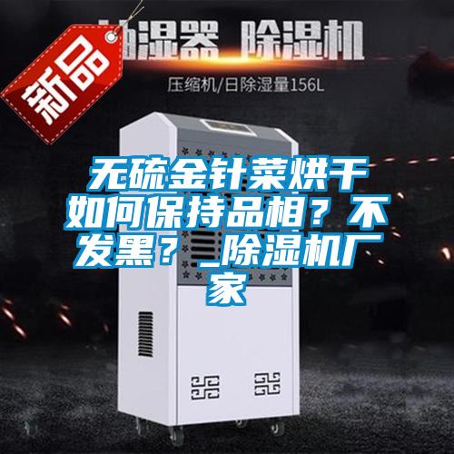 無(wú)硫金針菜烘干如何保持品相?不發(fā)黑?_除濕機(jī)廠家