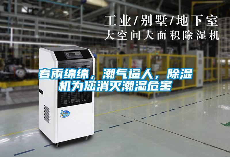 春雨綿綿，潮氣逼人，除濕機為您消滅潮濕危害