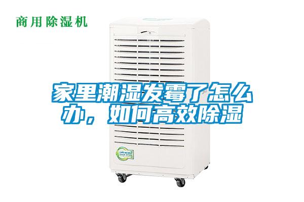 家里潮濕發霉了怎么辦，如何高效除濕