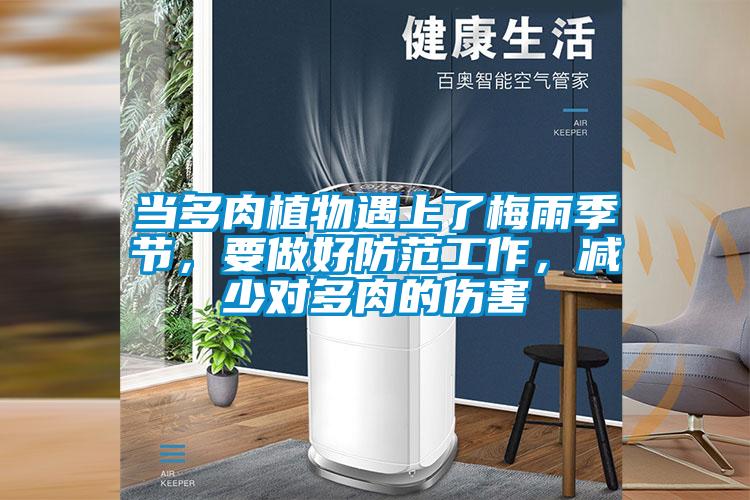 當多肉植物遇上了梅雨季節，要做好防范工作，減少對多肉的傷害