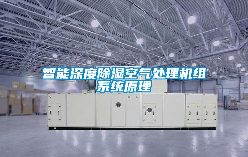 智能深度除濕空氣處理機組系統原理