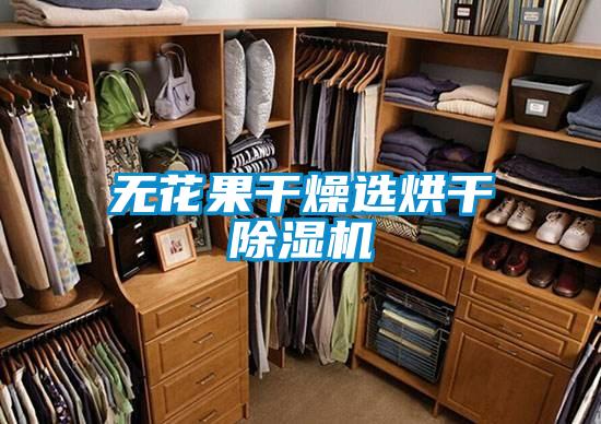無花果干燥選烘干除濕機(jī)
