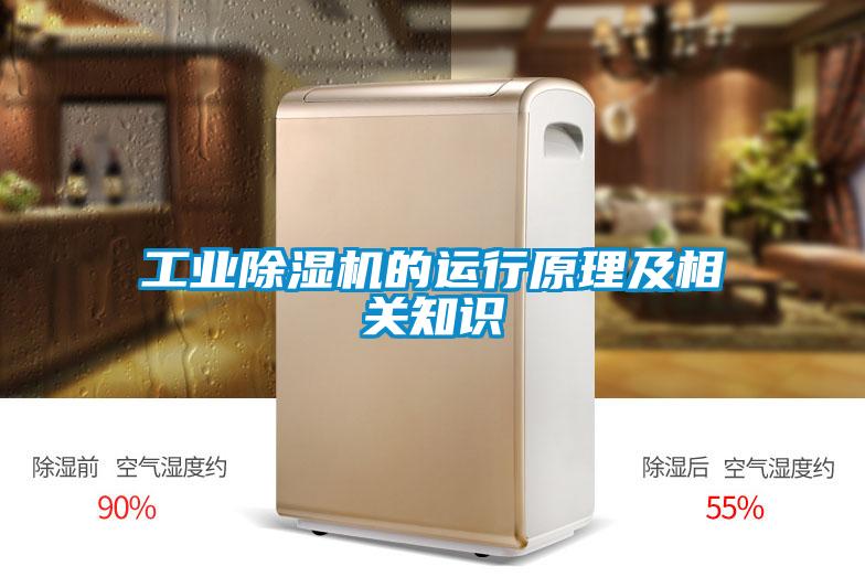 工業除濕機的運行原理及相關知識