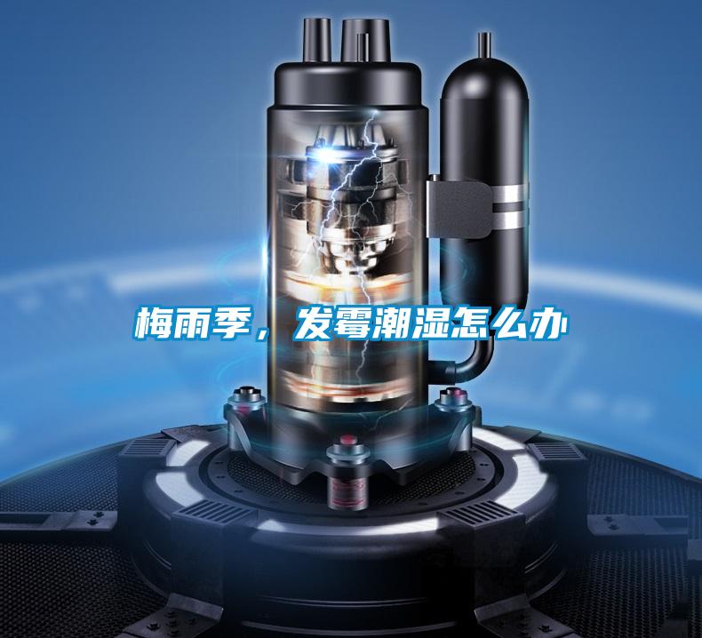 梅雨季,發(fā)霉潮濕怎么辦