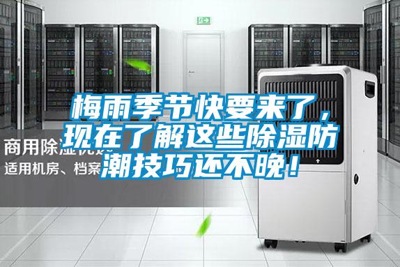 梅雨季節(jié)快要來(lái)了,現(xiàn)在了解這些除濕防潮技巧還不晚!