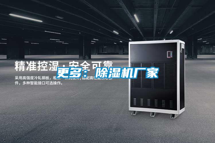 更多:除濕機廠家