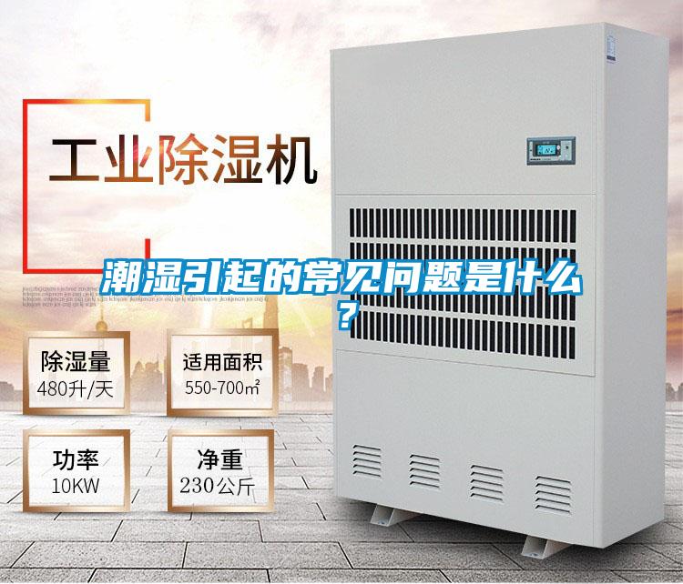 潮濕引起的常見(jiàn)問(wèn)題是什么？