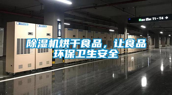 除濕機烘干食品，讓食品環保衛生安全