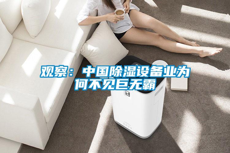 觀察:中國除濕設備業為何不見巨無霸