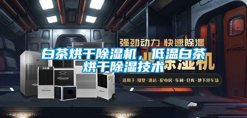 白茶烘干除濕機，低溫白茶烘干除濕技術(shù)