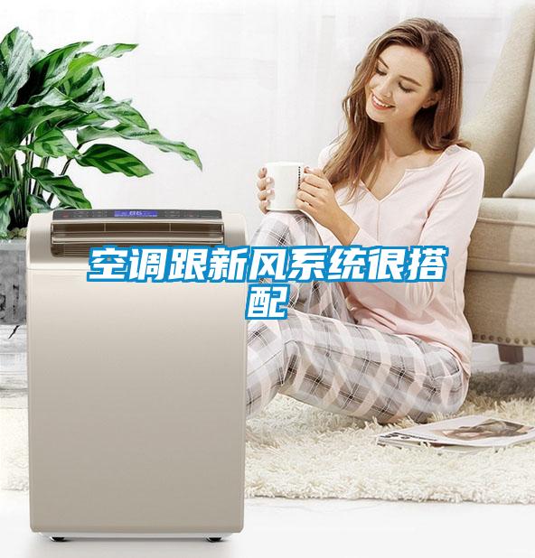 空調(diào)跟新風系統(tǒng)很搭配