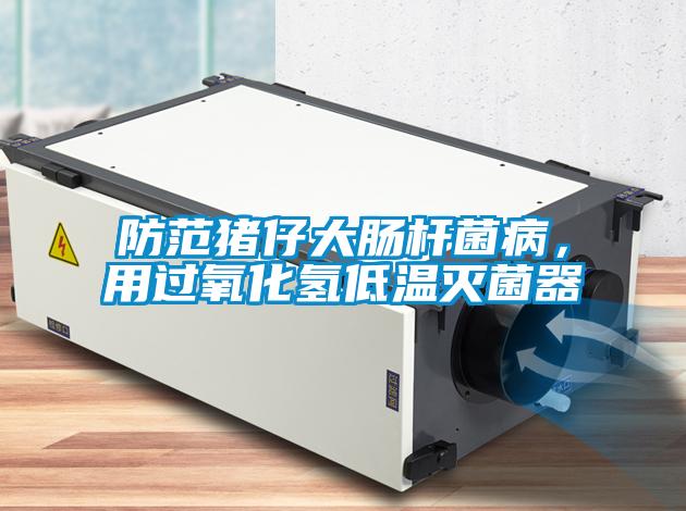 防范豬仔大腸桿菌病，用過氧化氫低溫滅菌器