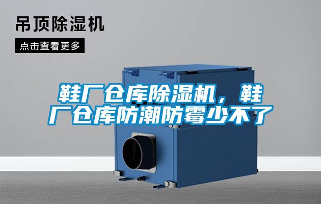 鞋廠倉(cāng)庫(kù)除濕機(jī)，鞋廠倉(cāng)庫(kù)防潮防霉少不了