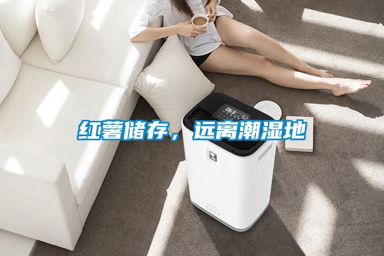 紅薯儲存，遠(yuǎn)離潮濕地